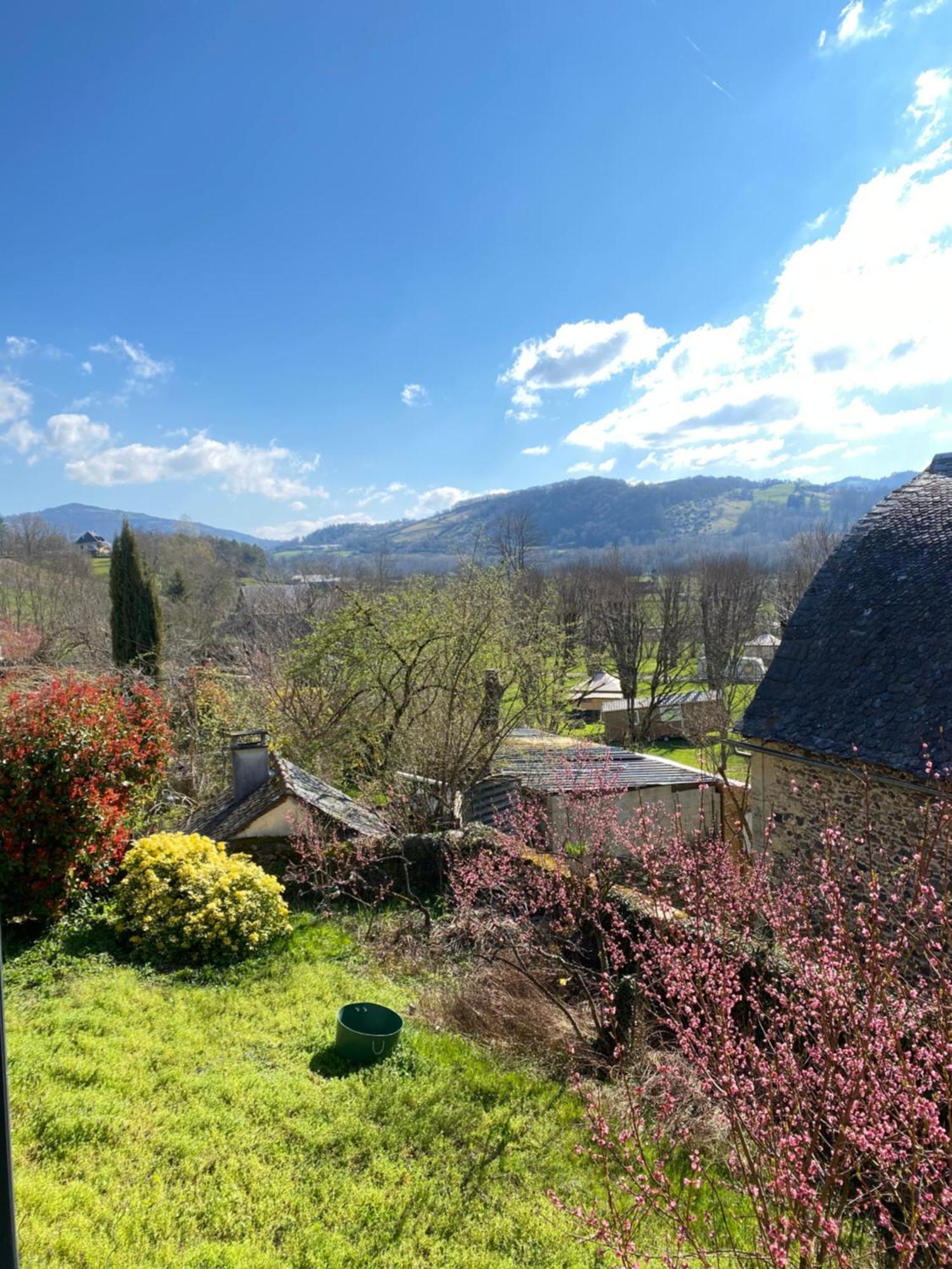 Au Pont D'Olt Hotel Saint-Côme-dʼOlt Cameră foto